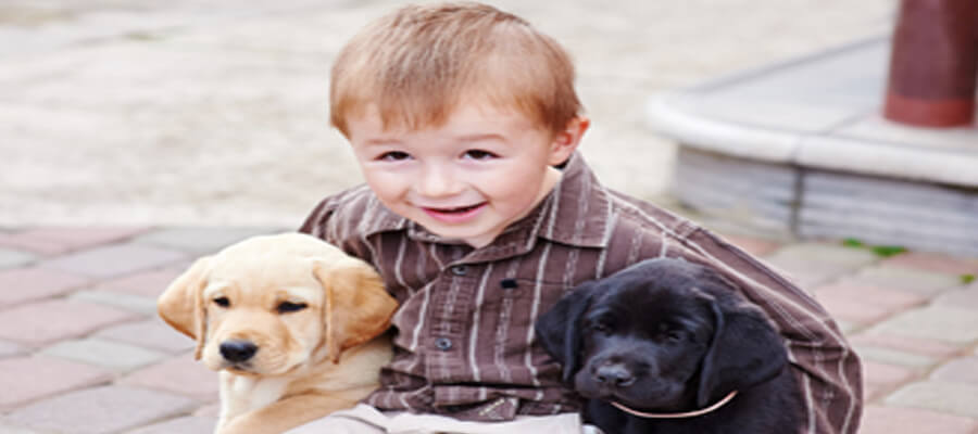 The Best Dog Breeds for Families with Young Children: Safe and Friendly Choices